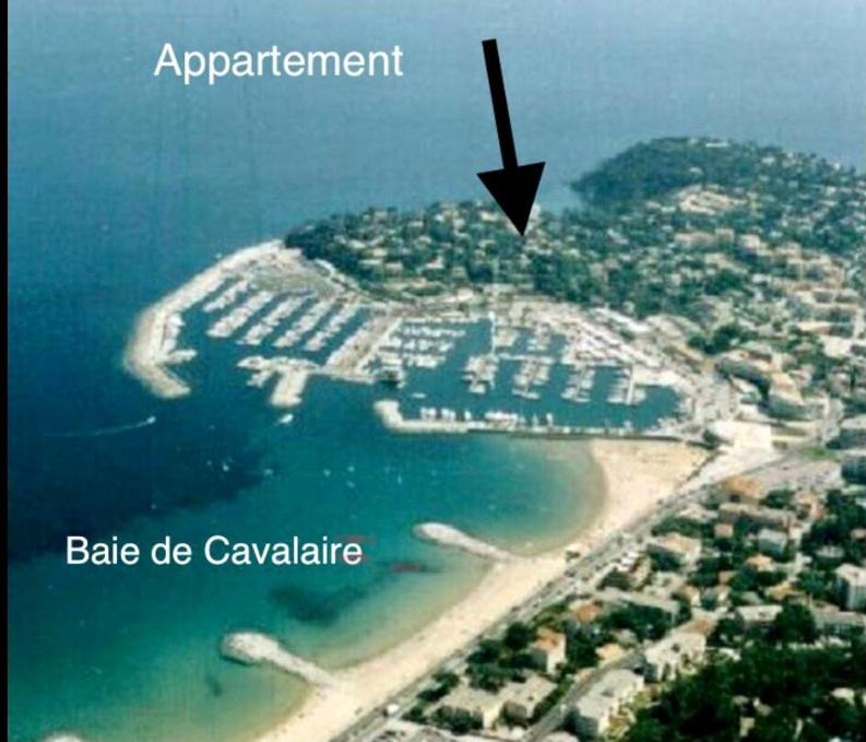 Cavalaire Bel Appartement De Vacances T2 Eksteriør billede